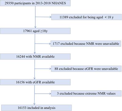 The hidden impact: the rate of nicotine metabolism and kidney health